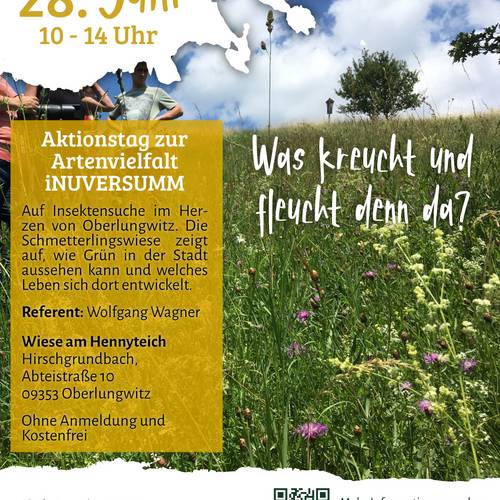 2025.05.19 - LPV - Veranstaltungen in Oberlungwitz_Flyer Insekten.jpg